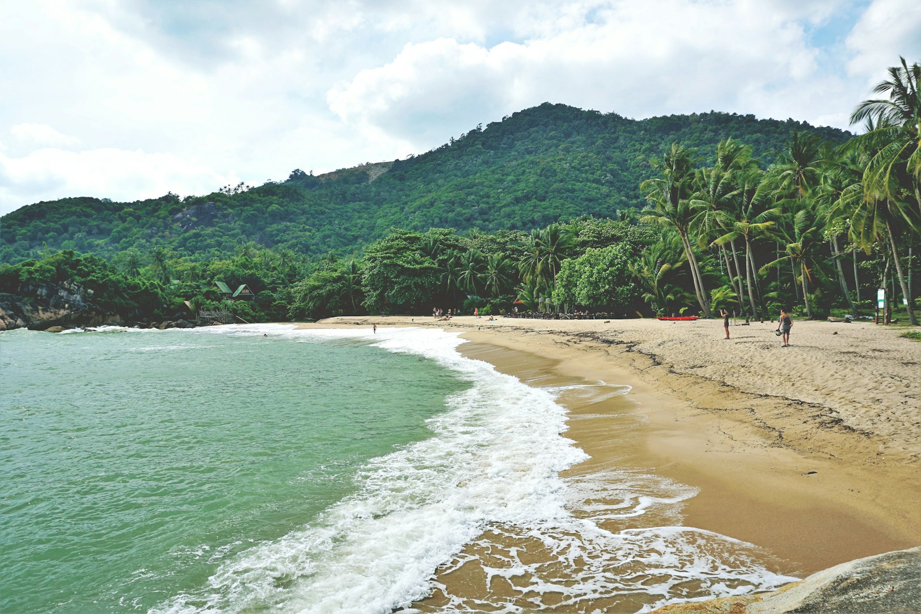 A jungle-backed bay on the north coast of Koh Phangan, with coconut palms above pale sand and green water